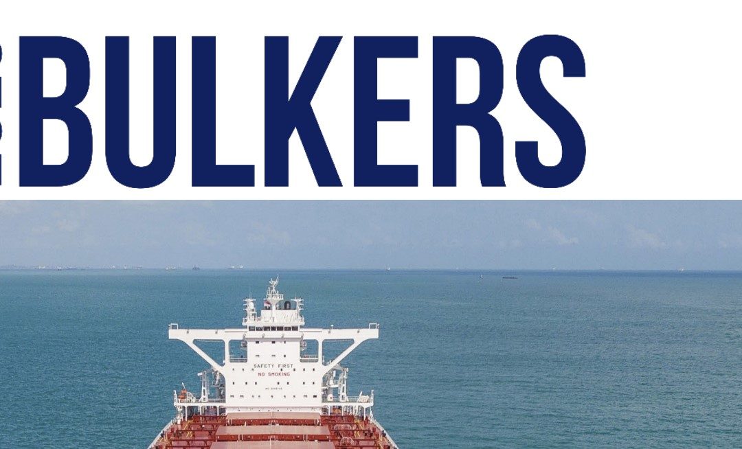 2020 Bulkers och källskatten