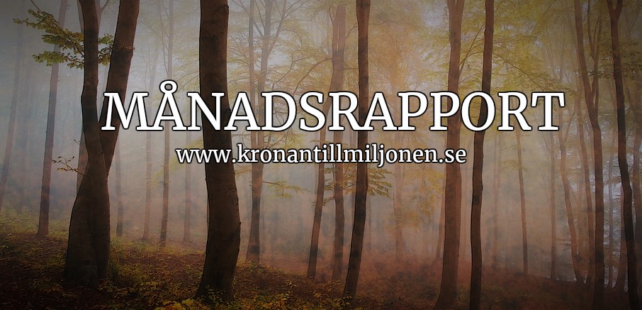Rycker rosor. Månadsrapport september 2025