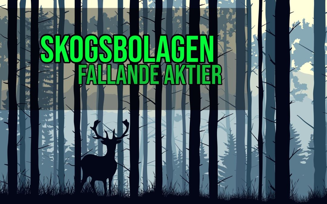 Skogen – köpa sektorn som går skit?